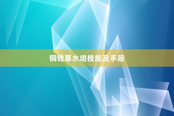 铜钱草水培技能及手段
