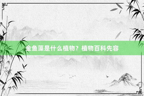 金鱼藻是什么植物？植物百科先容