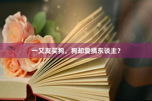 一又友买狗，狗却爱搞东谈主？